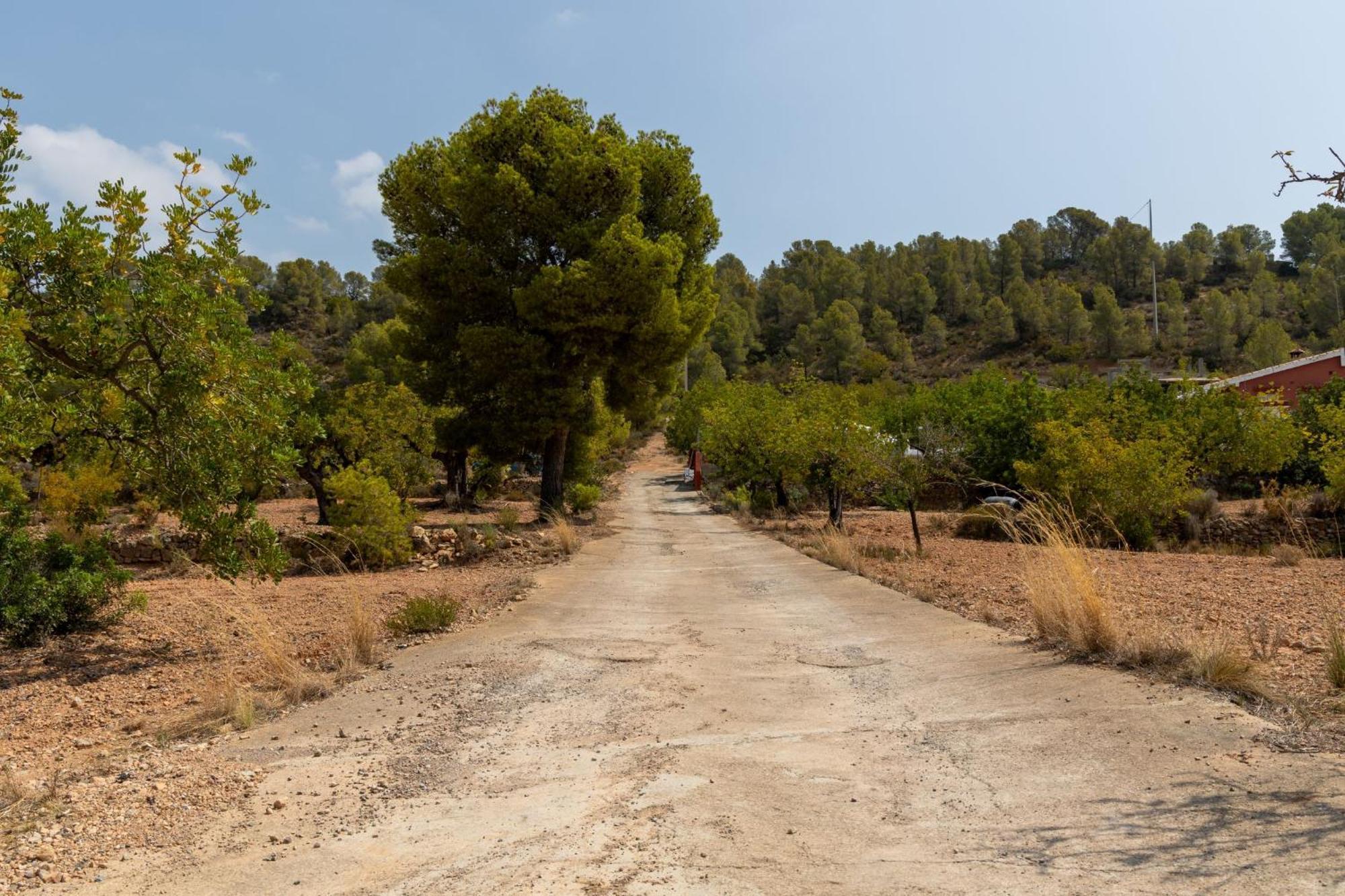 Finca El Escondite Olocau Dış mekan fotoğraf