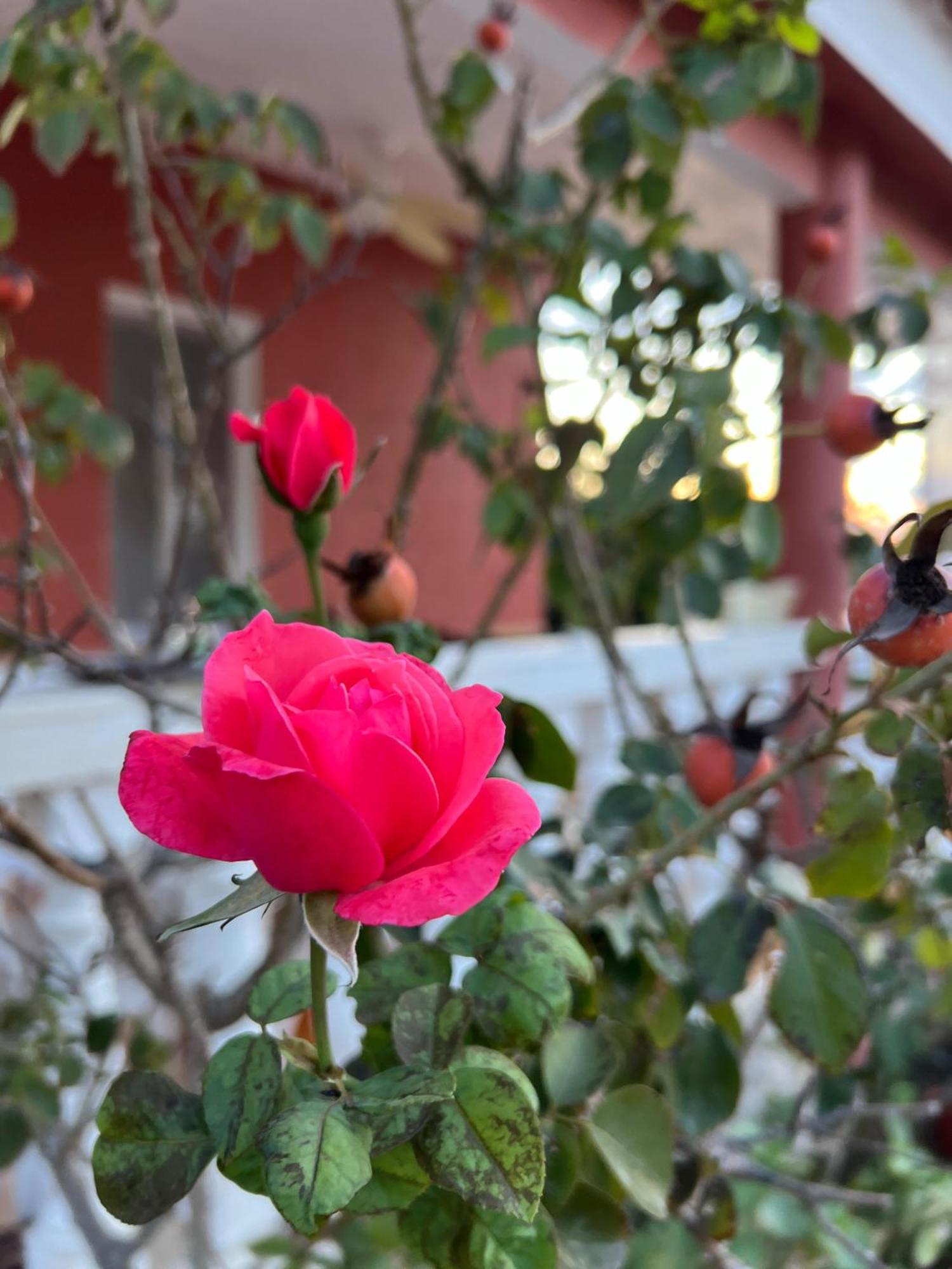 Finca El Escondite Olocau Dış mekan fotoğraf